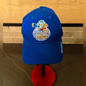 Roanoke Rail Yard Dawgs Hockey Hat